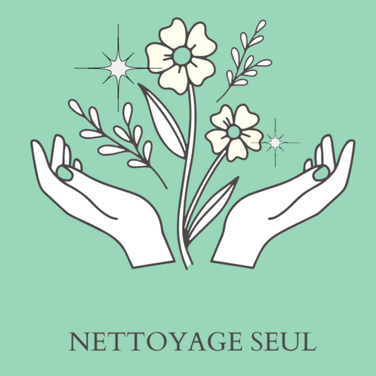 Nettoyage seul